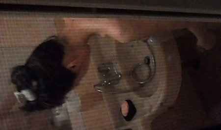 スコットランドプレSkypeの音 熟女 はめどり 動画